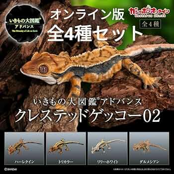 いきもの大図鑑アドバンス クレステッドゲッコー02 全４種 いきもの大図鑑アドバンス クレステッドゲッコー02｜ガシャポン